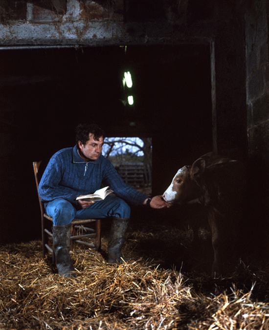 Weekend Roundup Frederic Nauczyciel. "Serge". Photo Courtesy Honfleur Gallery