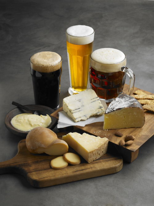 beer_cheese_sampler1 scion
