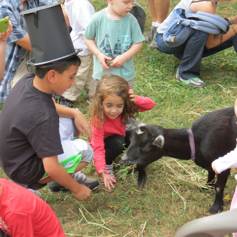 pic courtesy of Popville