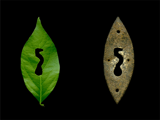Mimesis: Leaf & Keyhole by Brookland-based artist Leda Black who will participate in this year's Fotobazaar. Image courtesy of the artist.