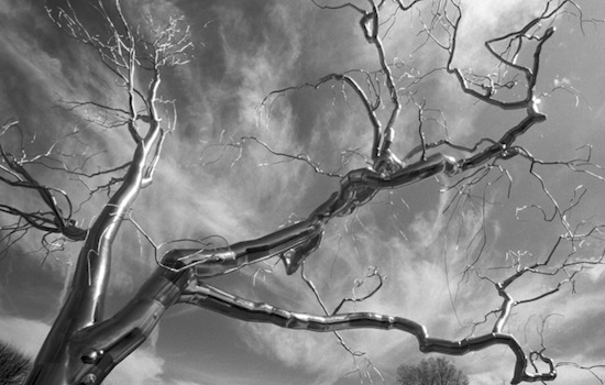 Photo by Joe Yablonsky. Courtesy of CHAW.